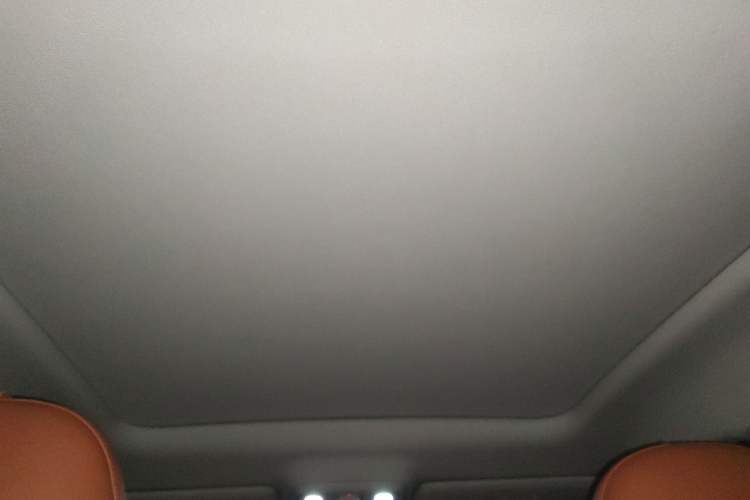 Used Leapmotor C10 2024 530 LiDAR Edition Headliner