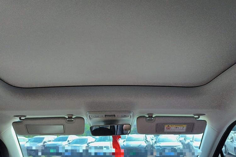 Used Leapmotor C10 2024 530 Smart Edition Headliner