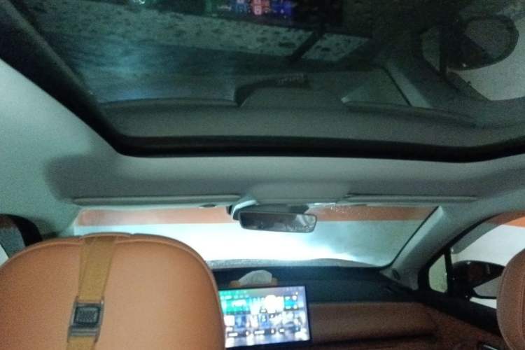 Used Leapmotor C10 2024 530 Smart Edition Headliner