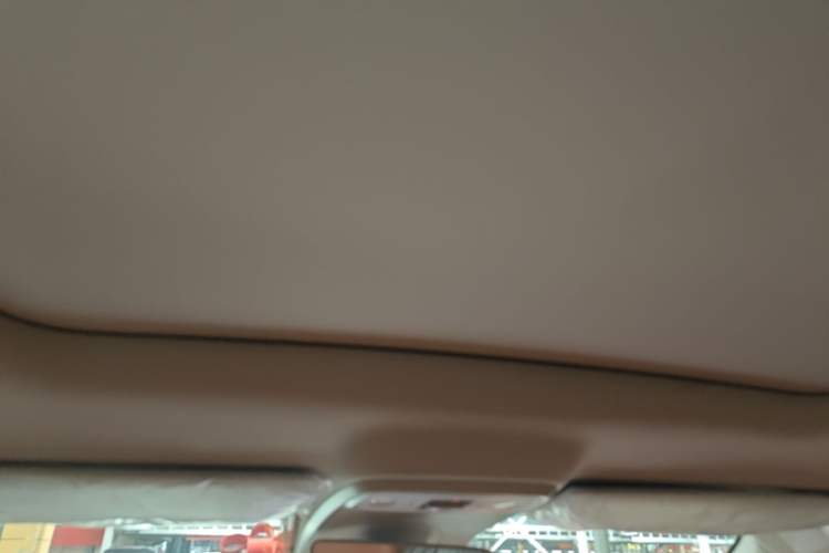 Used Leapmotor C10 2024 530 Smart Edition Headliner