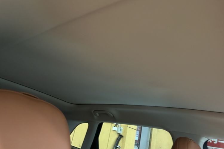 Used Leapmotor C10 2024 530 Smart Edition Headliner