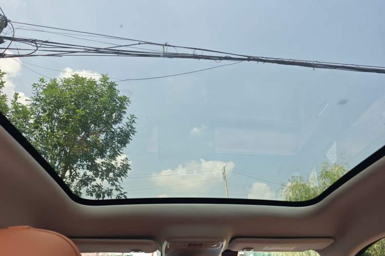 Used Leapmotor C10 2024 210 Smart Edition Headliner
