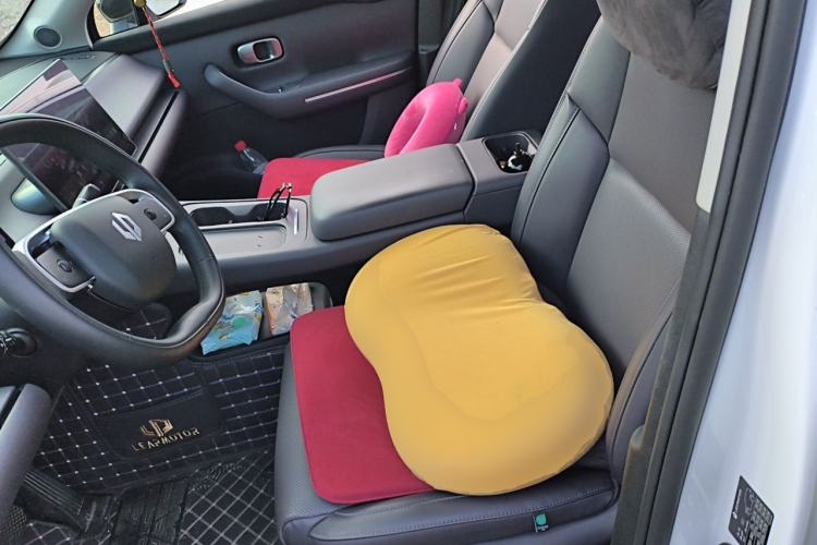 Used Leapmotor C10 2024 530 Smart Edition Left Front Seat