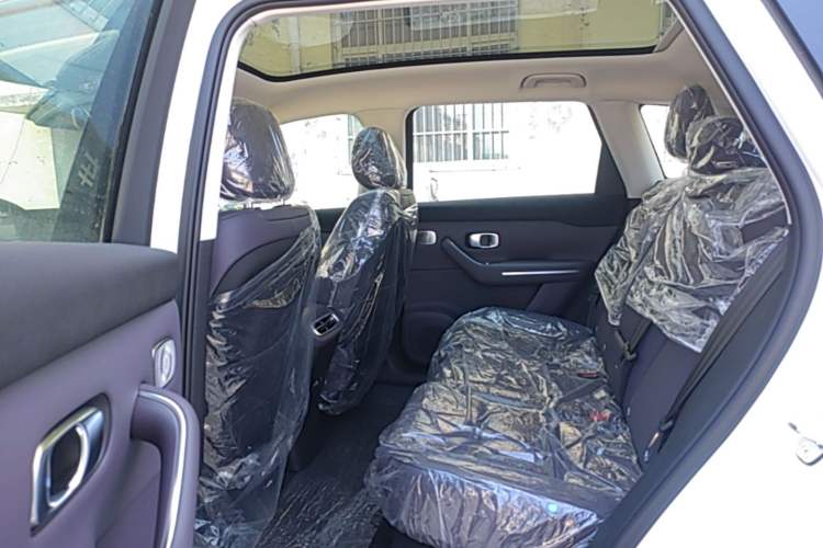 Used Leapmotor C10 2024 210 Smart Edition Left Rear Seat