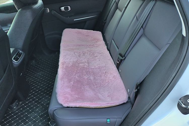 Used Leapmotor C10 2024 530 Smart Edition Left Rear Seat
