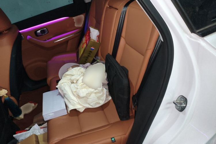 Used Leapmotor C10 2024 530 LiDAR Edition Left Rear Seat
