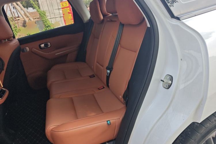 Used Leapmotor C10 2024 210 Smart Edition Left Rear Seat