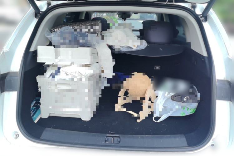 Used Leapmotor C10 2024 530 Smart Edition Trunk