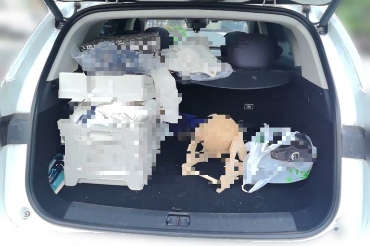 Used Leapmotor C10 2024 530 Smart Edition Trunk