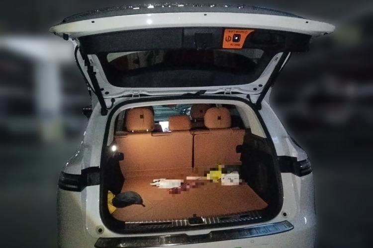 Used Leapmotor C10 2024 530 Smart Edition Trunk