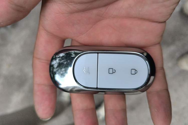 Used Leapmotor C10 2024 210 Smart Edition Vehicle Key