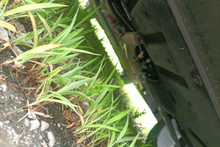 Used Leapmotor C10 2026 210 LiDAR Version Chassis Front