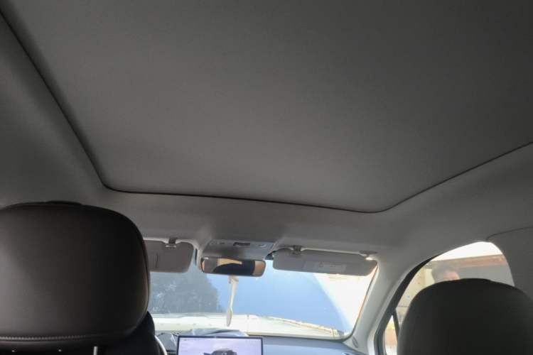 Used Leapmotor C10 2026 605 Enjoyment Edition Headliner