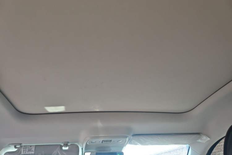 Used Leapmotor C10 2026 605 Enjoyment Edition Headliner