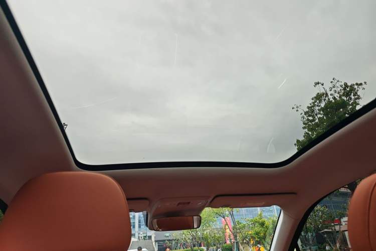 Used Leapmotor C10 2026 210 Joyful Edition Headliner