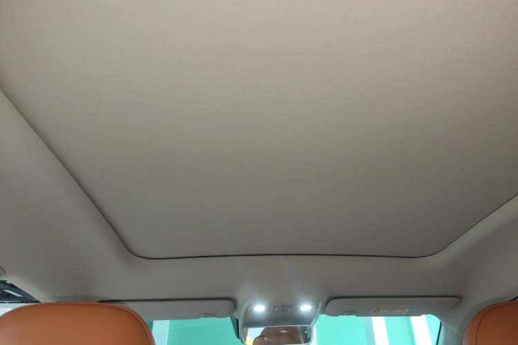 Used Leapmotor C10 2026 605 Enjoyment Edition Headliner