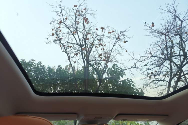 Used Leapmotor C10 2026 210 Joyful Edition Headliner