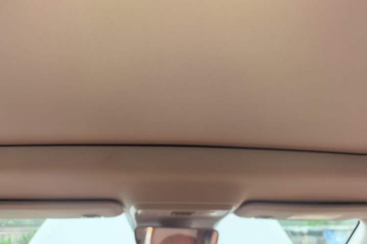 Used Leapmotor C10 2026 605 Enjoyment Edition Headliner