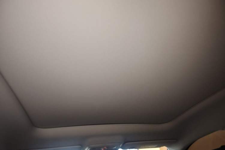 Used Leapmotor C10 2026 605 Enjoyment Edition Headliner