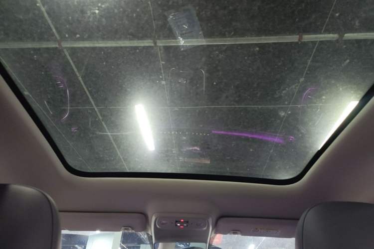 Used Leapmotor C10 2026 605 Enjoyment Edition Headliner