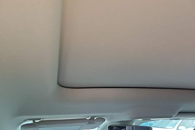 Used Leapmotor C10 2026 210 Joyful Edition Headliner