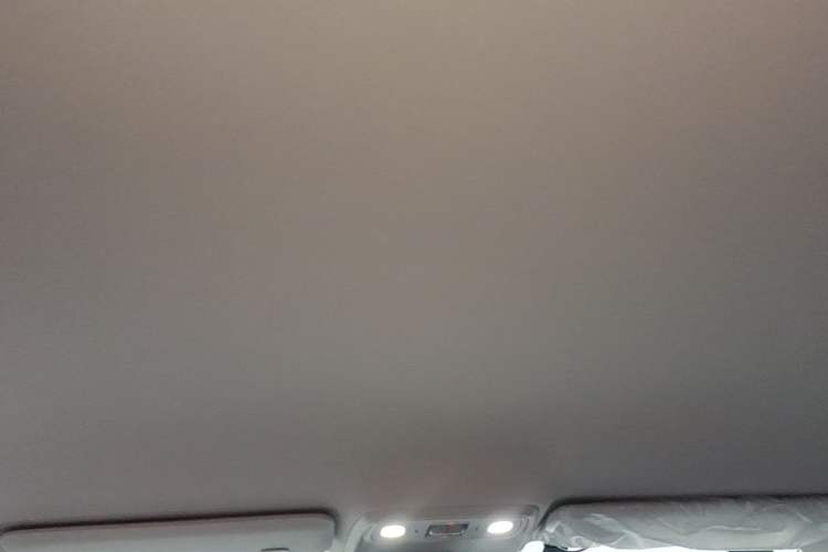 Used Leapmotor C10 2026 530 Comfort Edition Headliner