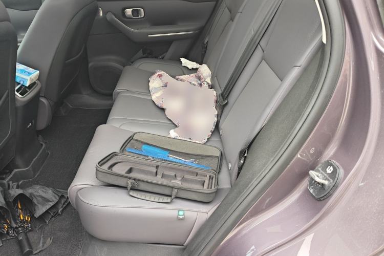Used Leapmotor C10 2026 605 Enjoyment Edition Left Rear Seat