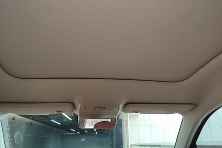Used Leapmotor C10 2026 605 Enjoyment Edition Headliner
