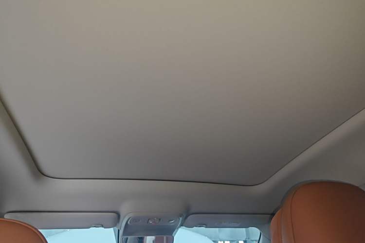 Used Leapmotor C10 2026 605 LiDAR Version Headliner