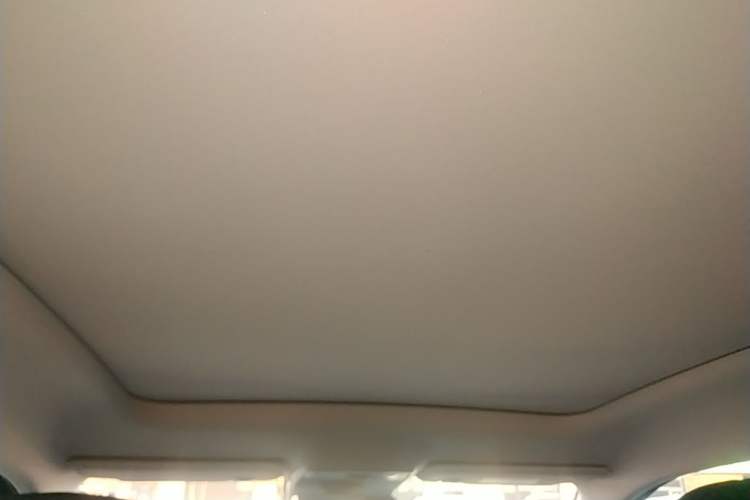 Used Leapmotor C10 2026 605 Enjoyment Edition Headliner