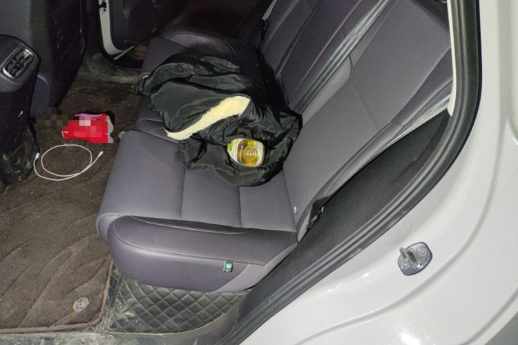 Used Leapmotor C10 2026 210 LiDAR Version Left Rear Seat