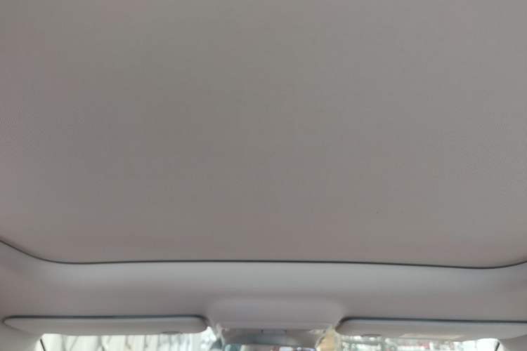 Used Leapmotor C10 2026 605 Enjoyment Edition Headliner