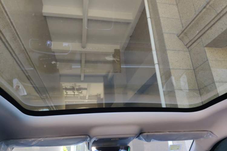 Used Leapmotor C10 2026 210 Joyful Edition Headliner