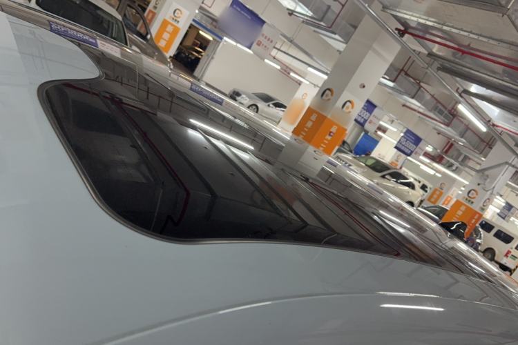 Used Leapmotor C11 2023 Pure Electric 500 Comfort Edition Roof