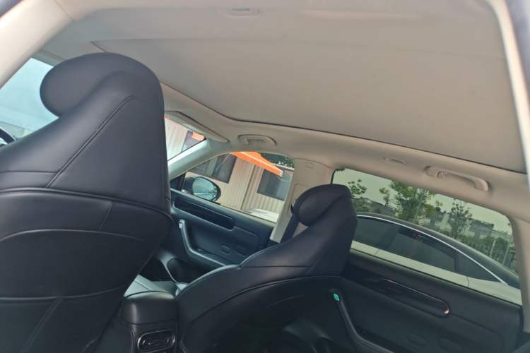 Used Leapmotor C11 2021 Luxury Edition Headliner