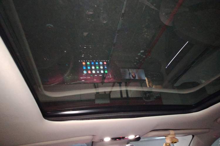 Used Leapmotor C11 2021 Deluxe Edition Headliner