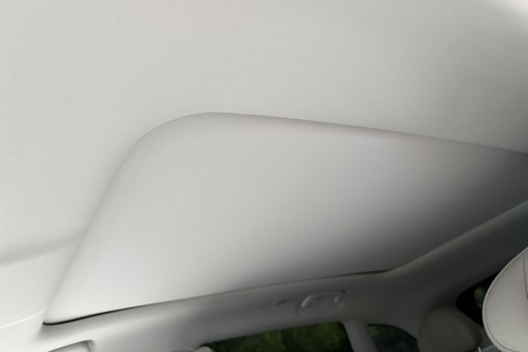 Used Leapmotor C11 2021 Deluxe Edition Headliner