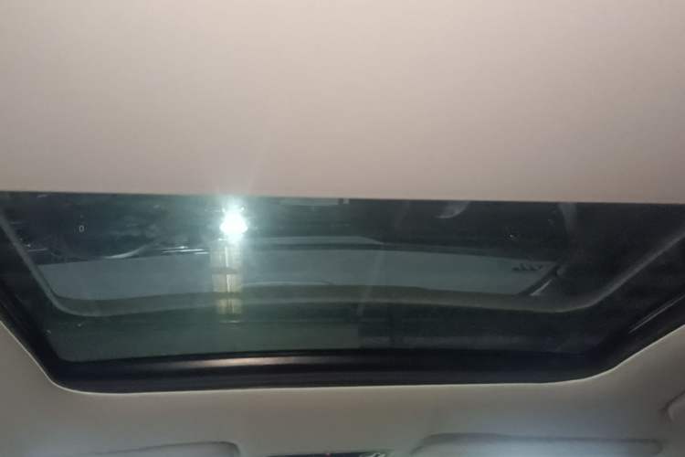 Used Leapmotor C11 2021 Luxury Edition Headliner