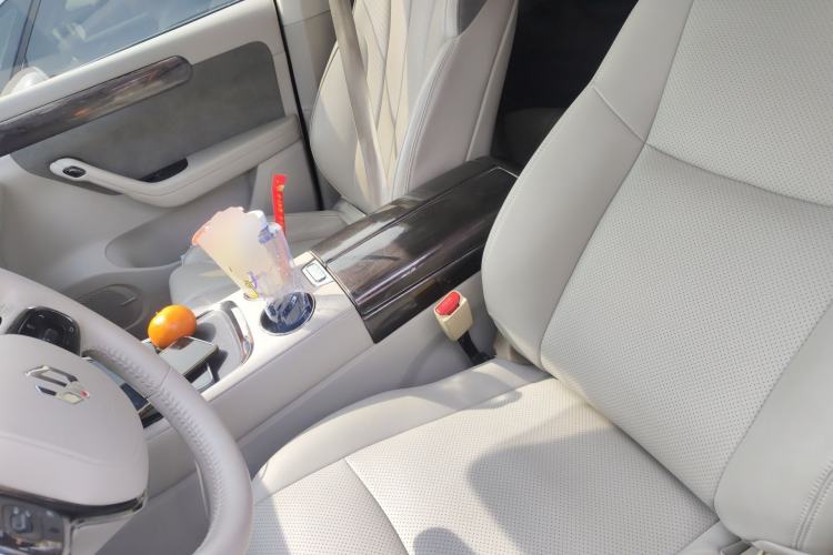 Used Leapmotor C11 2021 Deluxe Edition Left Front Seat