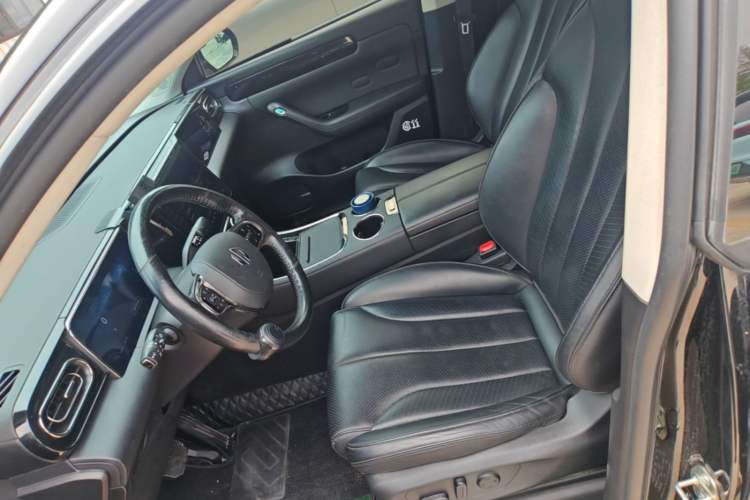 Used Leapmotor C11 2021 Luxury Edition Left Front Seat