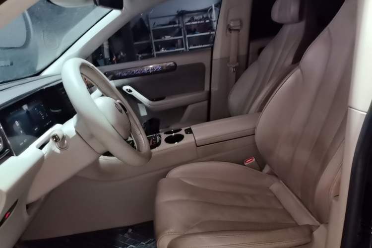 Used Leapmotor C11 2021 Revised Version Luxury Edition Left Front Seat