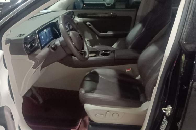 Used Leapmotor C11 2021 Luxury Edition Left Front Seat