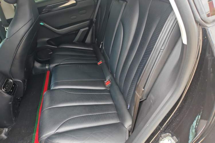 Used Leapmotor C11 2021 Luxury Edition Left Rear Seat