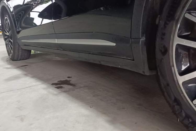 Used Leapmotor C11 2021 Luxury Edition Left Side Sill