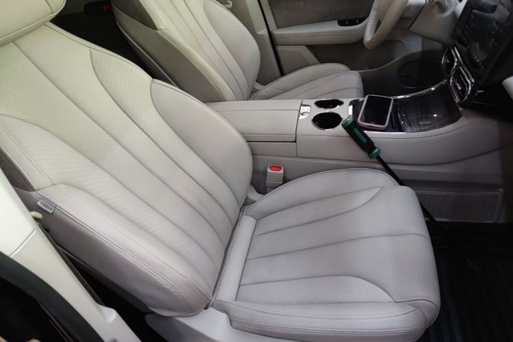 Used Leapmotor C11 2021 Revised Version Luxury Edition Right Front Seat