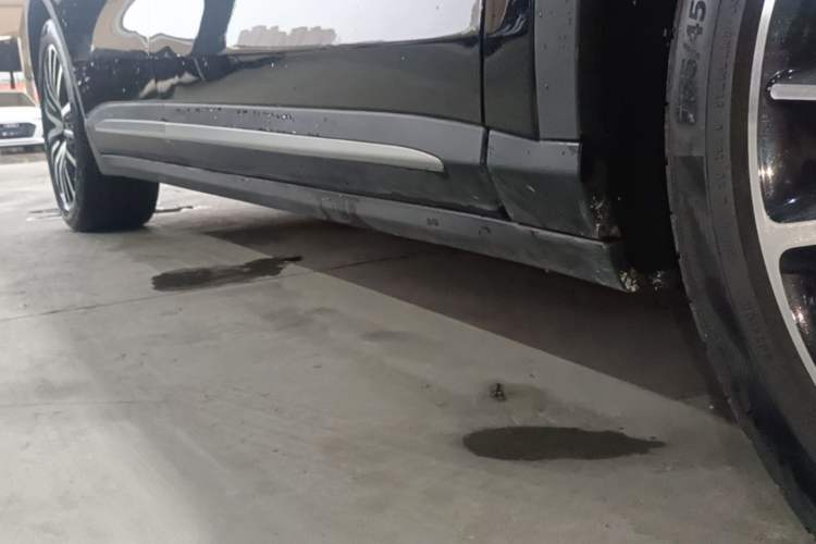Used Leapmotor C11 2021 Luxury Edition Right Side Sill