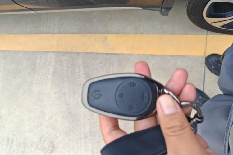 Used Leapmotor C11 2021 Luxury Edition Vehicle Key