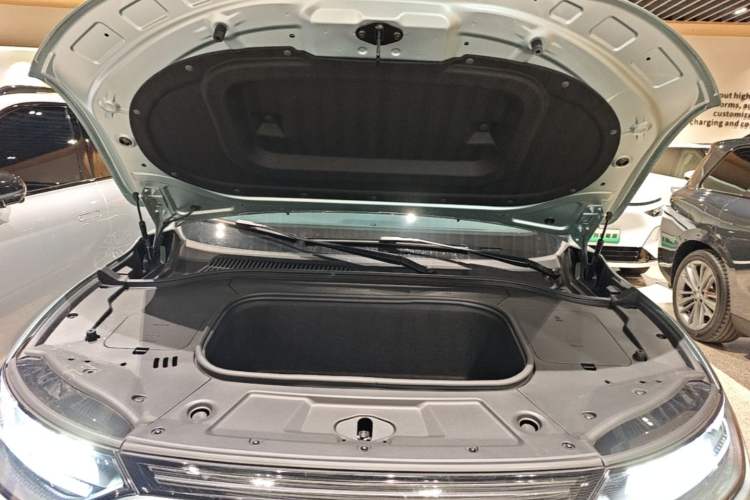 Used Leapmotor C11 2021 Performance Edition Engine Bay