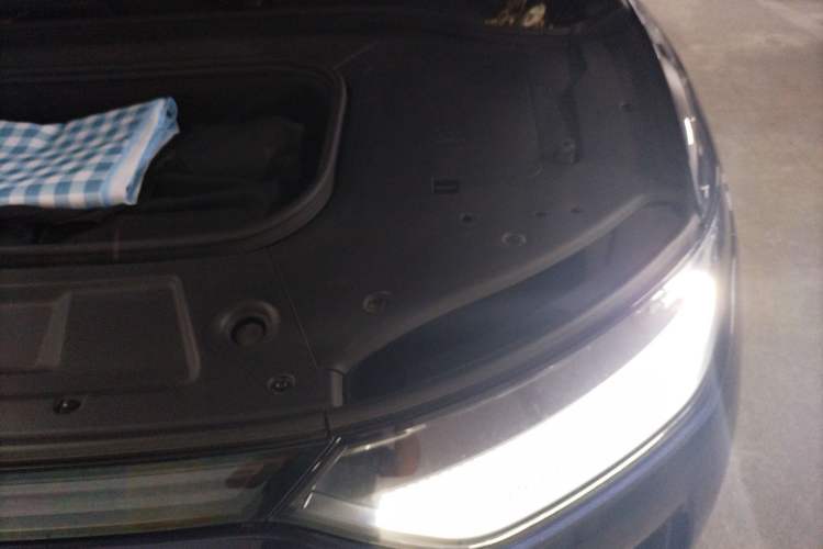 Used Leapmotor C11 2021 Deluxe Edition Engine Bay Left