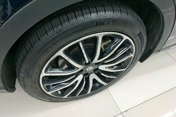 Used Leapmotor C11 2021 Revised Version Luxury Edition Exterior 5